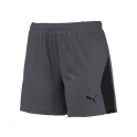 Puma Liga Shorts (GRY)