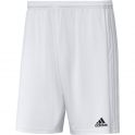 Adidas Squadra 21 Short (WHT)