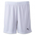 Puma Liga Shorts Core (WHT)