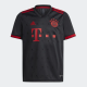 Adidas FC Bayern Munchen 3 JSY Youth (2223)