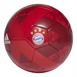 FC Bayern Munchen Ball (1819)