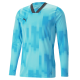 Puma teamTarget GK LS JSY (SKY)