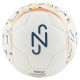 Puma Neymar Jr Graphic Ball (WHTNVY)