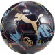 Puma CP 10 Graphic Ball (SS24)