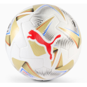 Puma Cumbre Copa America Final Ball (2024)