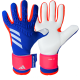 Adidas Predator Glove Competition (BLURED)