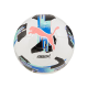 Puma Orbita 6 MS Ball (WHTBLU)